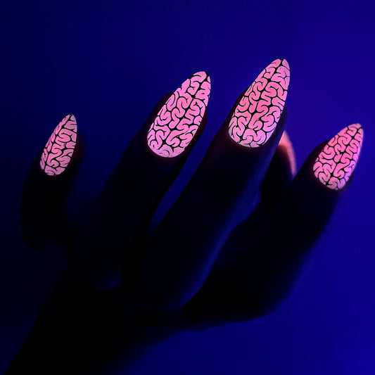 DISCO BRAINS