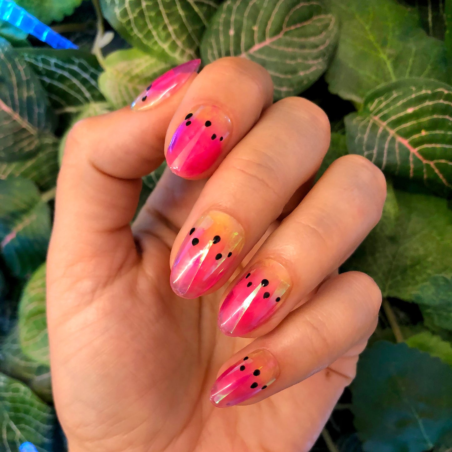 WATERMELONS