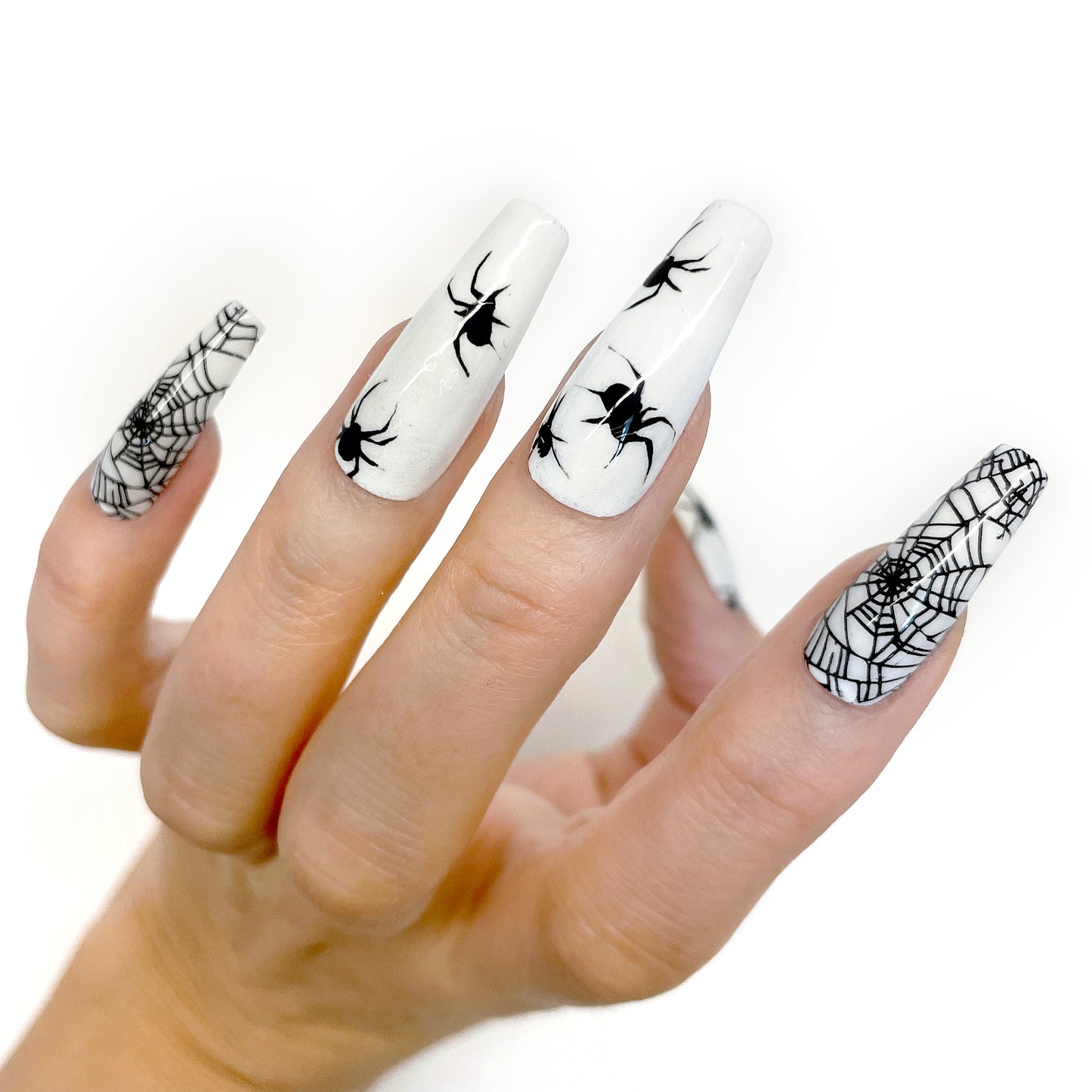 ARACHNO-GLO-BIA