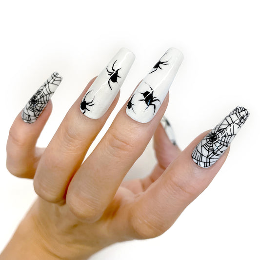ARACHNO-GLO-BIA